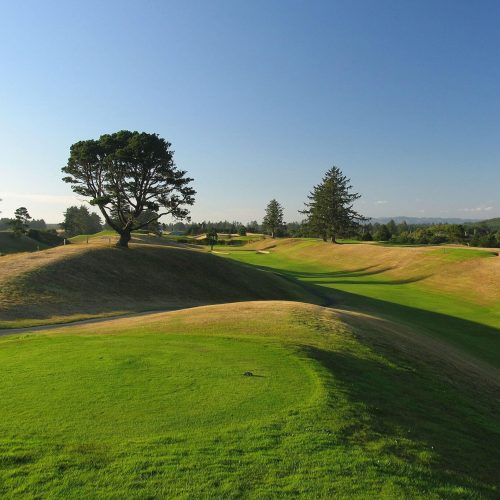 Astoria Golf Course on a sunny day